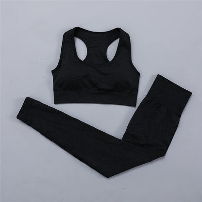 2/3/5PCS Seamless Yoga Set Gym Clothing Workout Clothes Women Gym Set High Waist Sport Outfit Yoga Fitness Suit - Linions